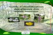 Guide d'identification des plantes des zones humides