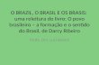 O Povo Brasileiro – a formação e o sentido do Brasil