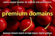 PREMIUM DOMAINS the (web content) icing on the cake