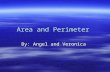 Angel Veronica Area And Perimeter Project
