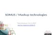 Somus Jory 16.12.2009 Mashup Technologies