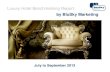 BluSky Marketing's Luxury Hotel Benchmarking Report 2013 Q3