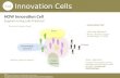 Innovation Cells Supporting Living Labs Practices: A Case Example.