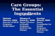 Care Groups: The Essential Ingredients