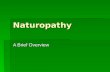 Naturopathy A Brief Overview