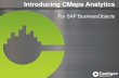 CMaps Analytics Introduction for SAP BusinessObjects