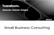 Small business consulting