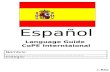 Review guide spanish