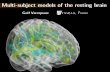 Multi-subject models of the resting brain