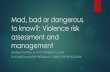 Danielle Matsuo - Dept Attorney General & Justice - Mad, Bad or Dangerous to Know? Understanding Violence Risk