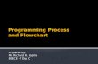 Programming process and flowchart