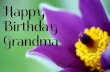 Happy 69th Birthday Grandma