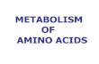 14 metabolism of amino acids