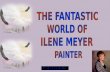 The Fantastic World Of Ilene Meyer... (Nx Power Lite)