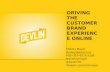 Driving the Customer Brand Experience Online