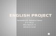 Semester english project