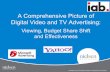 Digital Video and TV Advertising Viewing Budget Share Shift and Effectiveness