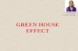 Green house effect,sk ruksana,v class