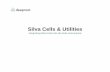 Integrating Silva Cells and Utilities