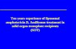 Ten years experience of liposomal amphotericin B, AmBisome ...