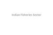 MSSRF Indian Fisheries Sector