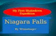 Niagara falls everyone