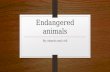 Endangered animal cokorda and cyril(descriptive text)