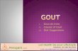 Gout  Intro Causes & Diet Suggestions