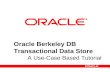 Oracle Berkeley DB - Transactional Data Storage (TDS) Tutorial