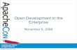 Open Development in the Enterprise