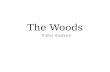 The Woods Trailer Analysis- A2 Media Studies