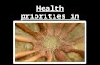 Health priorities slide show