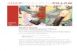 Anime Dakimakura Pillow - Online Shop - Free Starter Guide