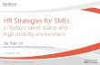 HR Strategies for Small & Medium Sized Businesses