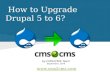 How to Upgrade Drupal 5 to 6 with CMS2CMS.