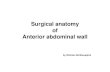 Abdomen Anatomy