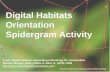 Digital Habitats Activity Orientation Spidergram Activity Cg