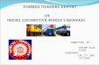 45187594 Summer Training Diesel Locomotive Works Ppt