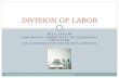 Board vs. CEO Division of Labor