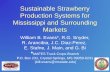 Sustainability Strawberry Production Systems for Mississippi and Surrounding Markets