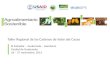 Canacacao transformacion comercializacion_cacao_centroamerica