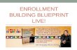 16 Easy Strategies To Increase Your Enrollment