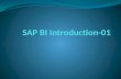 SAP BI Introduction-01