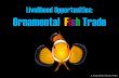 Agribusiness 360: Ornamental Fish Trade