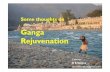 Some thoughts on ganga rejuvenation