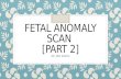 Fetal anomaly scan pt2