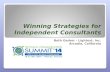 STC Summit 2014 Winning Strategies for Independent Consultants