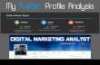 My Twitter Profile Analysis Report - SEO Expert Kolkata - India - Digital Marketing Expert