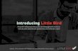 Introducing Little Bird: Why, What & How