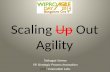 Scaling-Out Agility